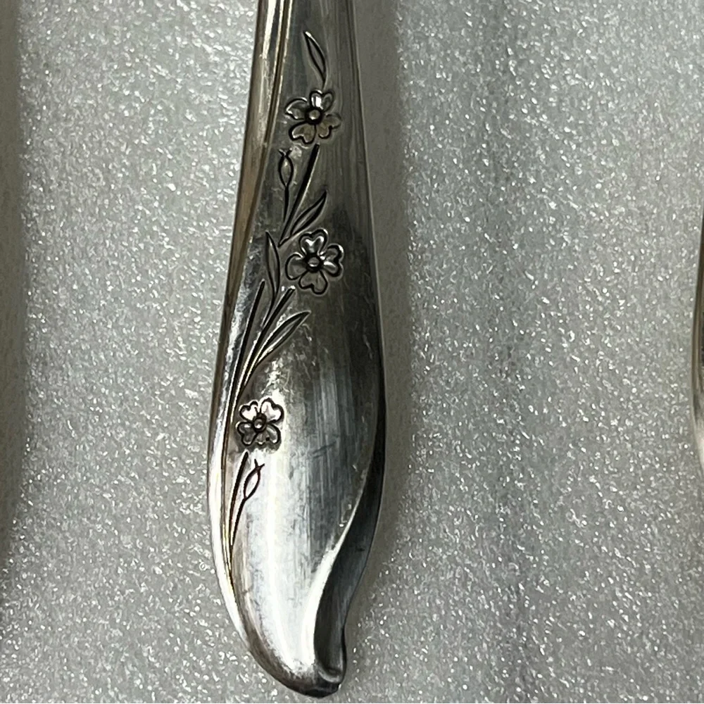 1847 Roger’s Bros. Silver-plated 5 Piece Silverware Place Setting Springtime